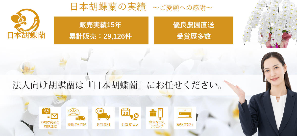日本胡蝶蘭