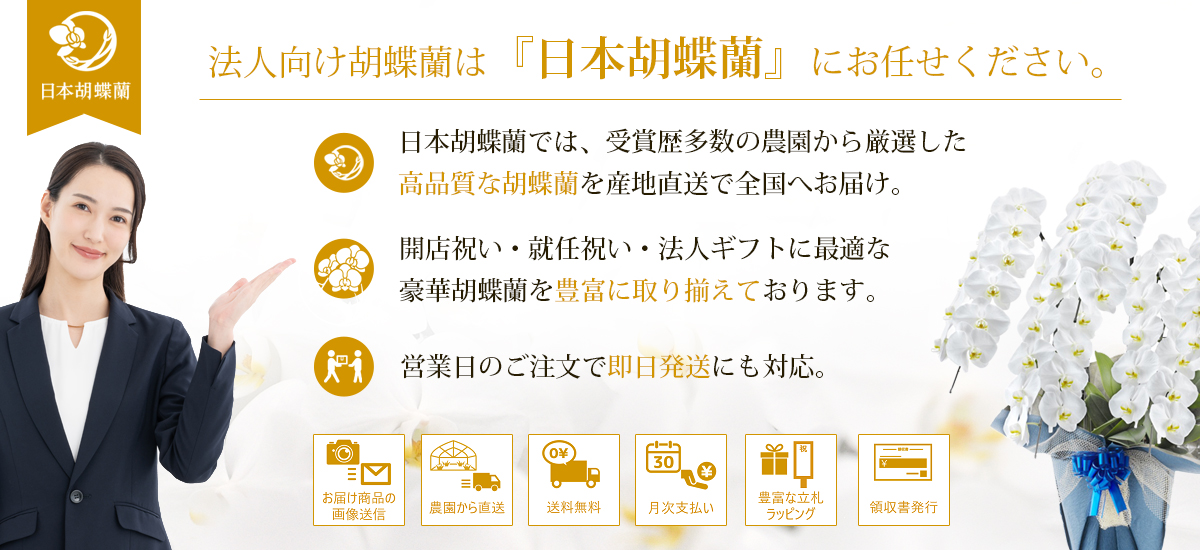 日本胡蝶蘭