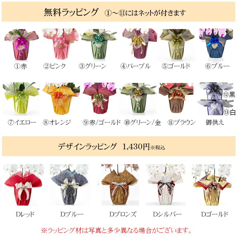大輪胡蝶蘭 7本立 63輪 （3色展開：ホワイト、ピンク、白赤） 佐川急便